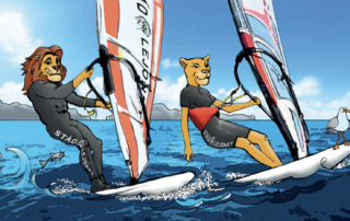 Städare sökes till Städlejonet